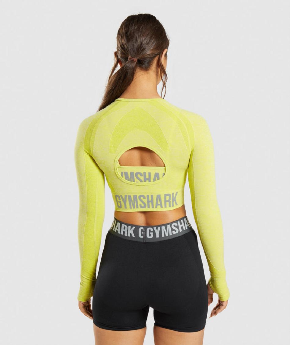 Gymshark Flex Sports Long Sleeve Ženske Ošišane Majice Žute | HR 3590HAP